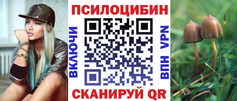 OMG зеркало  Пикалёво  Псилоцибиновые грибы ЛСД 