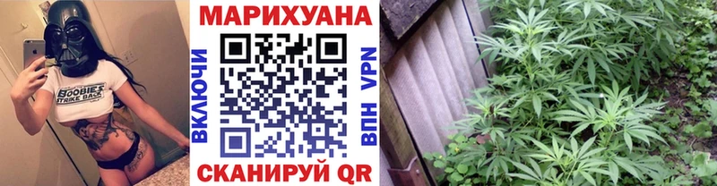 Канабис Bruce Banner Пикалёво